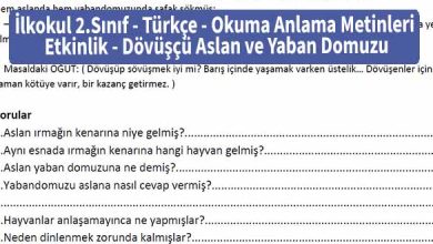 İlkokul 2.Sınıf - Türkçe - Okuma Anlama Metinleri - Etkinlik - Dövüşçü Aslan ve Yaban Domuzu