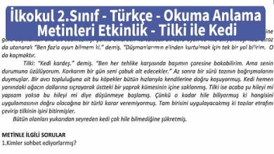 İlkokul 2.Sınıf – Türkçe – Okuma Anlama Metinleri – Etkinlik – Tilki ile Kedi – Pdf İndir