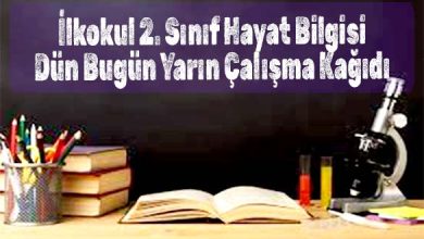 İlkokul 2. Sınıf Hayat Bilgisi Dün Bugün Yarın Çalışma Kağıdı İndir