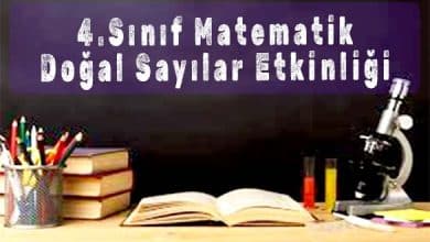 4.Sınıf Matematik Doğal Sayılar Etkinliği İndir