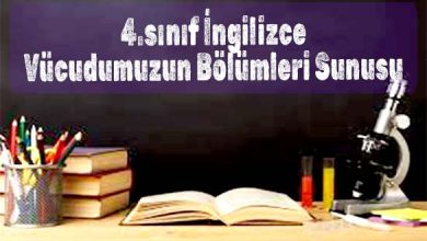 4.sınıf İngilizce Vücudumuzun Bölümleri Sunusu İndir