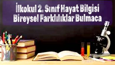 İlkokul 2. Sınıf Hayat Bilgisi Bireysel Farklılıklar Bulmaca