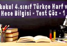 İlkokul 4.sınıf Türkçe Harf ve Hece Bilgisi - Online Test Çöz - 1