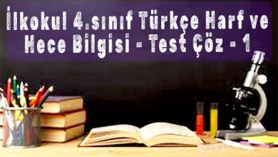 İlkokul 4.sınıf Türkçe Harf ve Hece Bilgisi - Online Test Çöz - 1