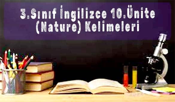 3.Sınıf İngilizce 10.Ünite (Nature) Kelimeleri