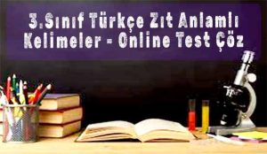 3.Sınıf Türkçe Zıt Anlamlı Kelimeler - Online Test Çöz