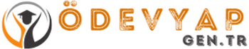 odevyap logo test logo 1