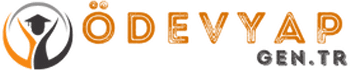 odevyap logo test logo 1